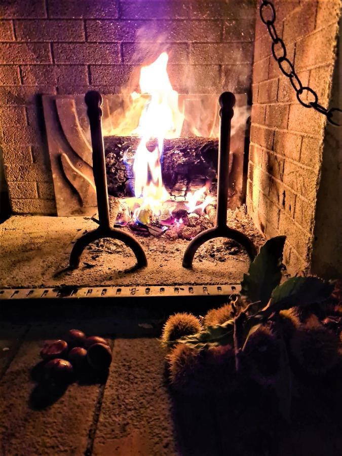 Incantevole Casa Sul Fiume, Relax E Natura Ai Piedi Della Alpi Apuane Massa Kültér fotó